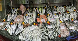 Balıkçılar gün sayıyor: Denizlerde av yasağına son 6 gün
