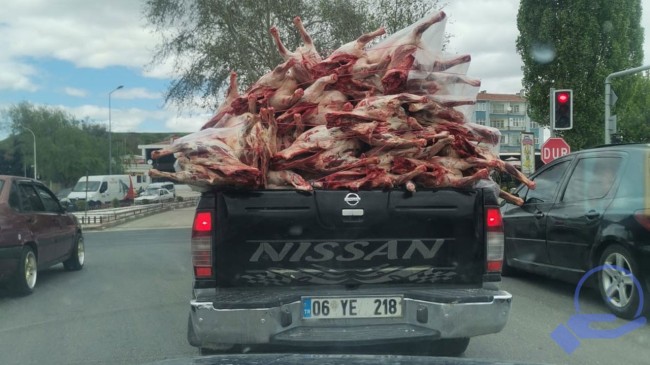 Bu etleri kime yedirecekler? Yüzlerce kilo et et kamyonet kasasında toz toprak içinde taşındı