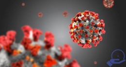 CHP’den hükümete koronavirüs pandemisi raporu sorusu
