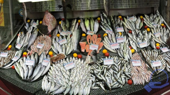 Balıkçılar gün sayıyor: Denizlerde av yasağına son 6 gün